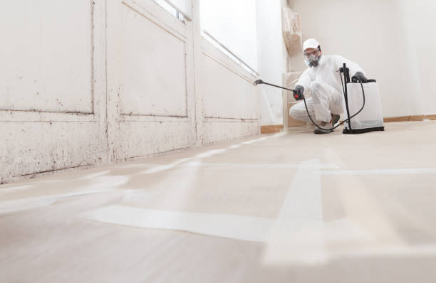 24/7 Emergency Attic Mold Remediation experts in Algonquin, IL